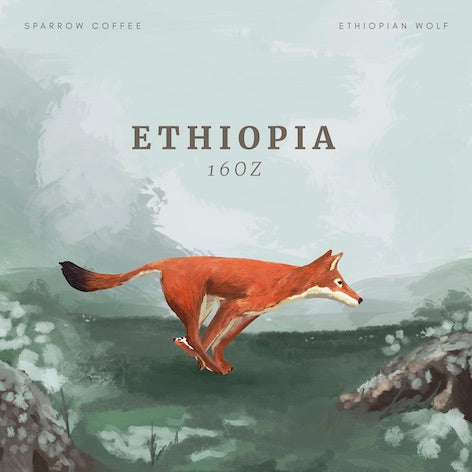 Ethiopia Ginbo Wush Wush Natural