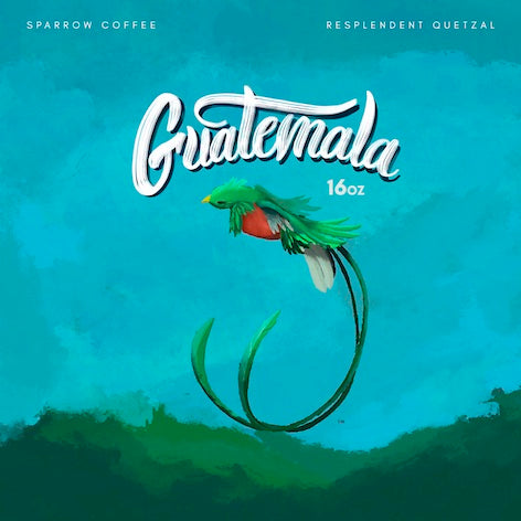 Guatemala Santa Elena Barillas Washed