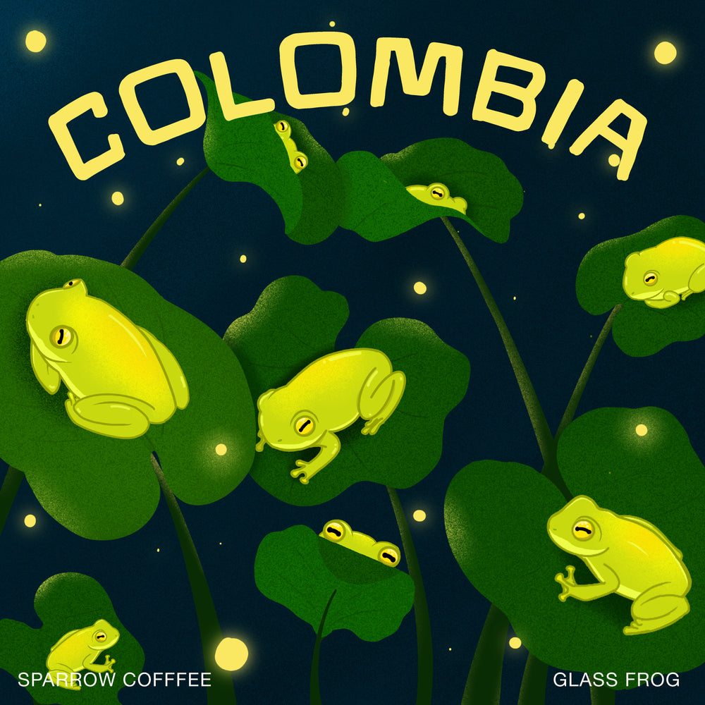 Colombia Nariño Inga Natural