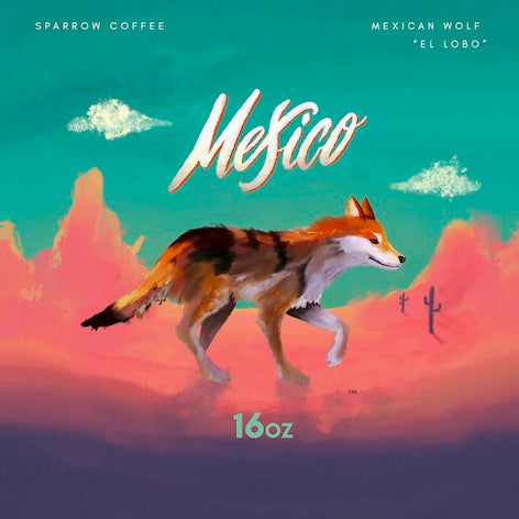 Mexico San Isidro Zoquiapam