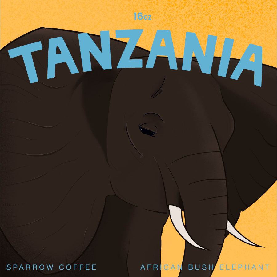 Tanzania Iyenga Peaberry Washed